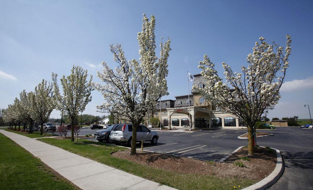 Courtyard By Marriott Waterloo St. Jacobs Hotel Exterior foto